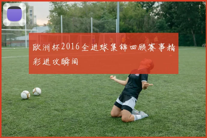 欧洲杯2016全进球集锦回顾赛事精彩进攻瞬间