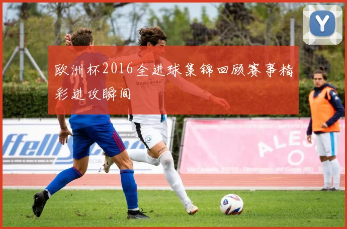 欧洲杯2016全进球集锦回顾赛事精彩进攻瞬间